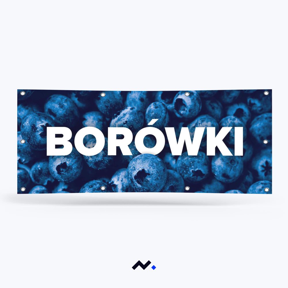 Baner Borówki