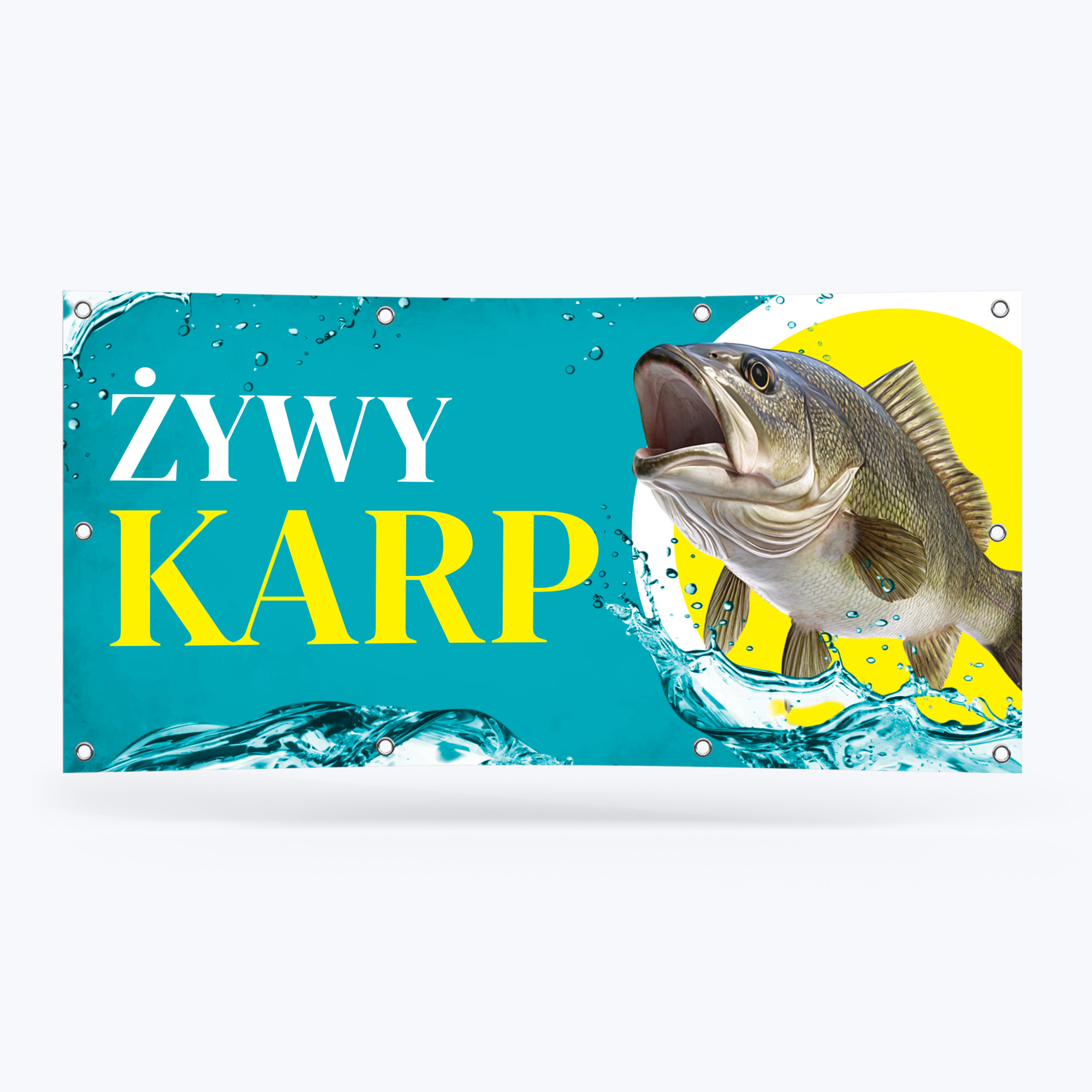 Baner Żywy Karp